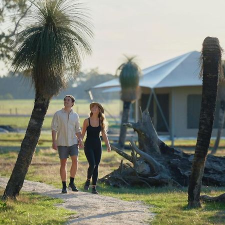 Willow Wood Glamping Retreat Broadwater Luaran gambar