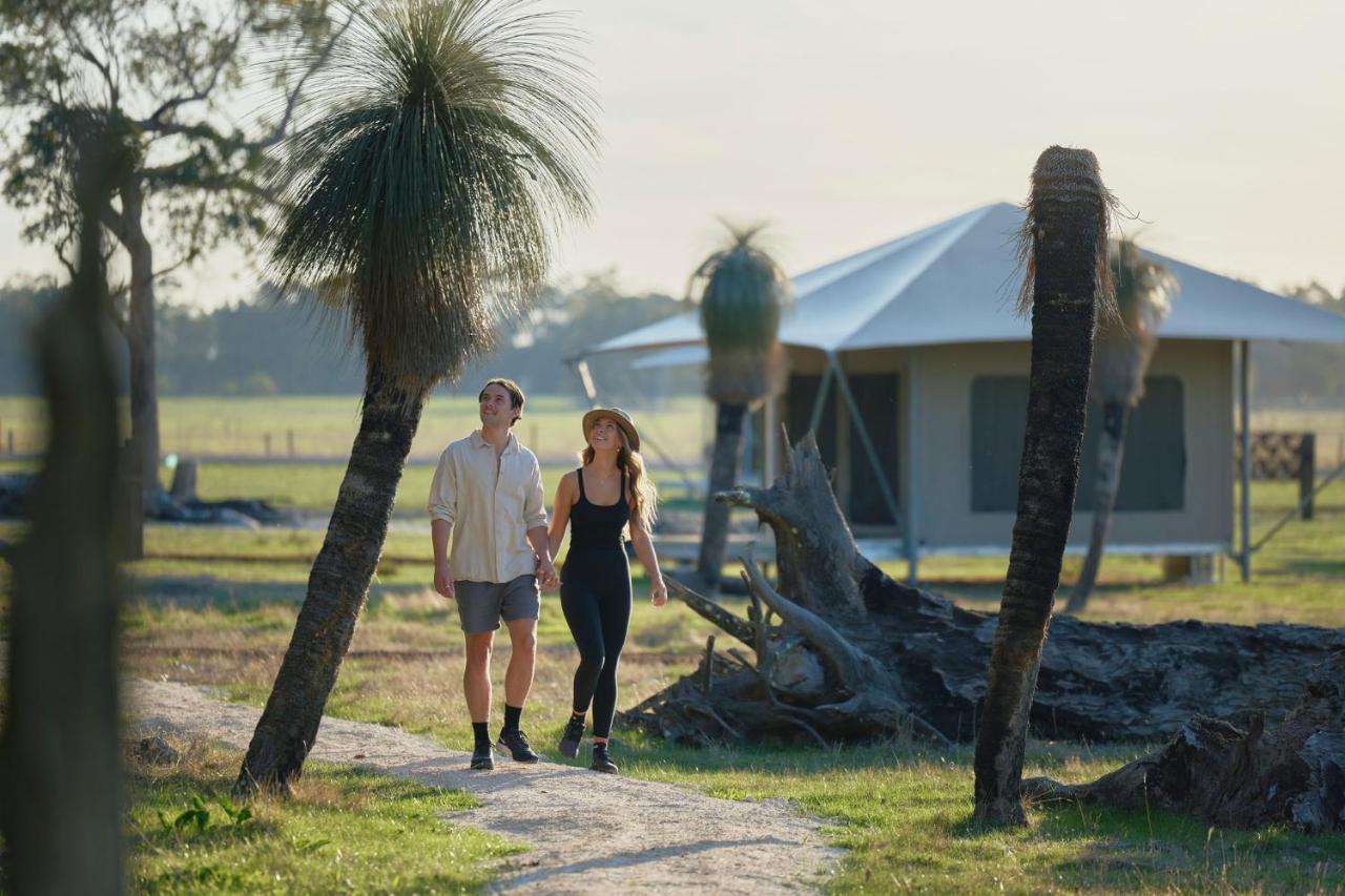 Willow Wood Glamping Retreat Broadwater Luaran gambar