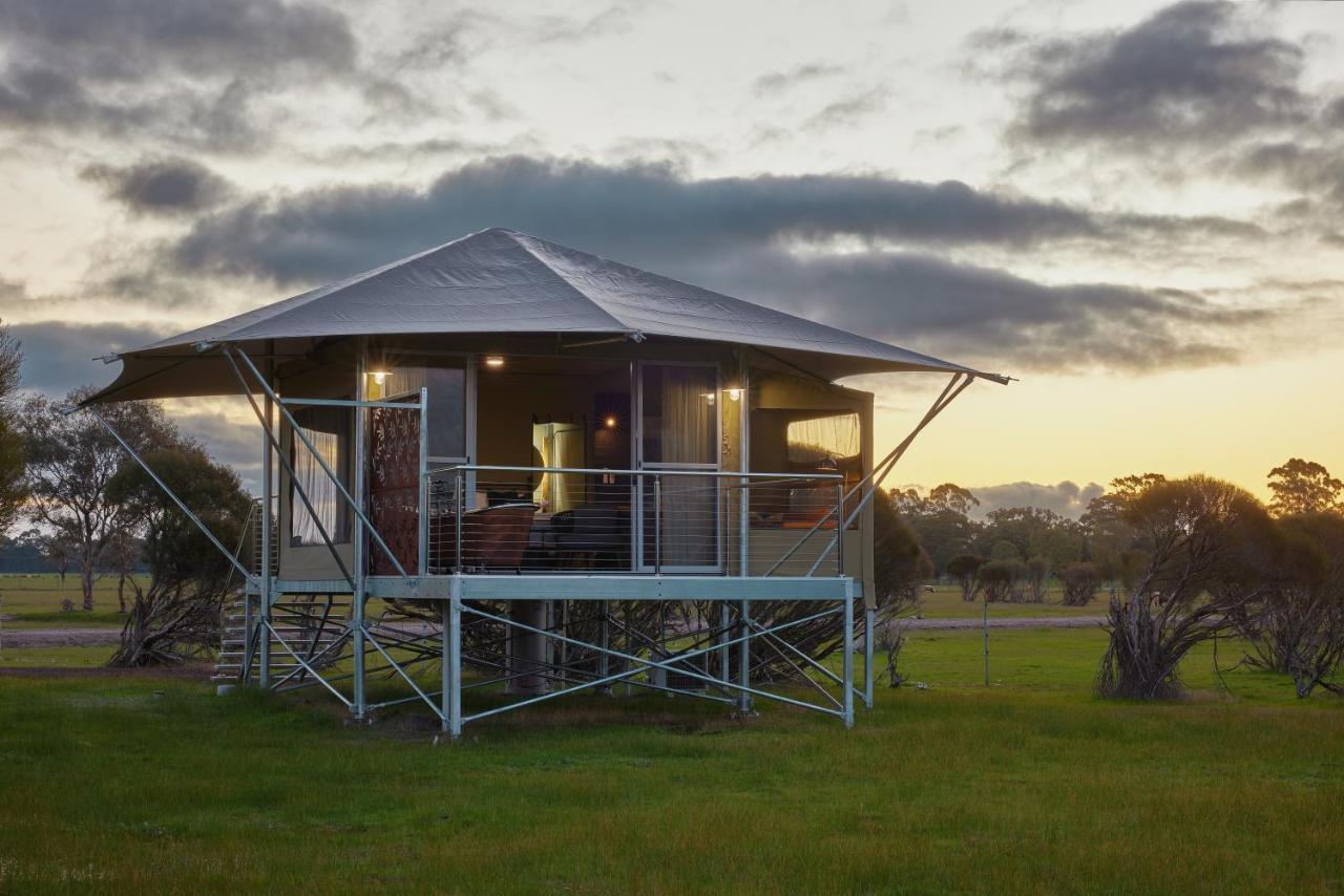 Willow Wood Glamping Retreat Broadwater Luaran gambar